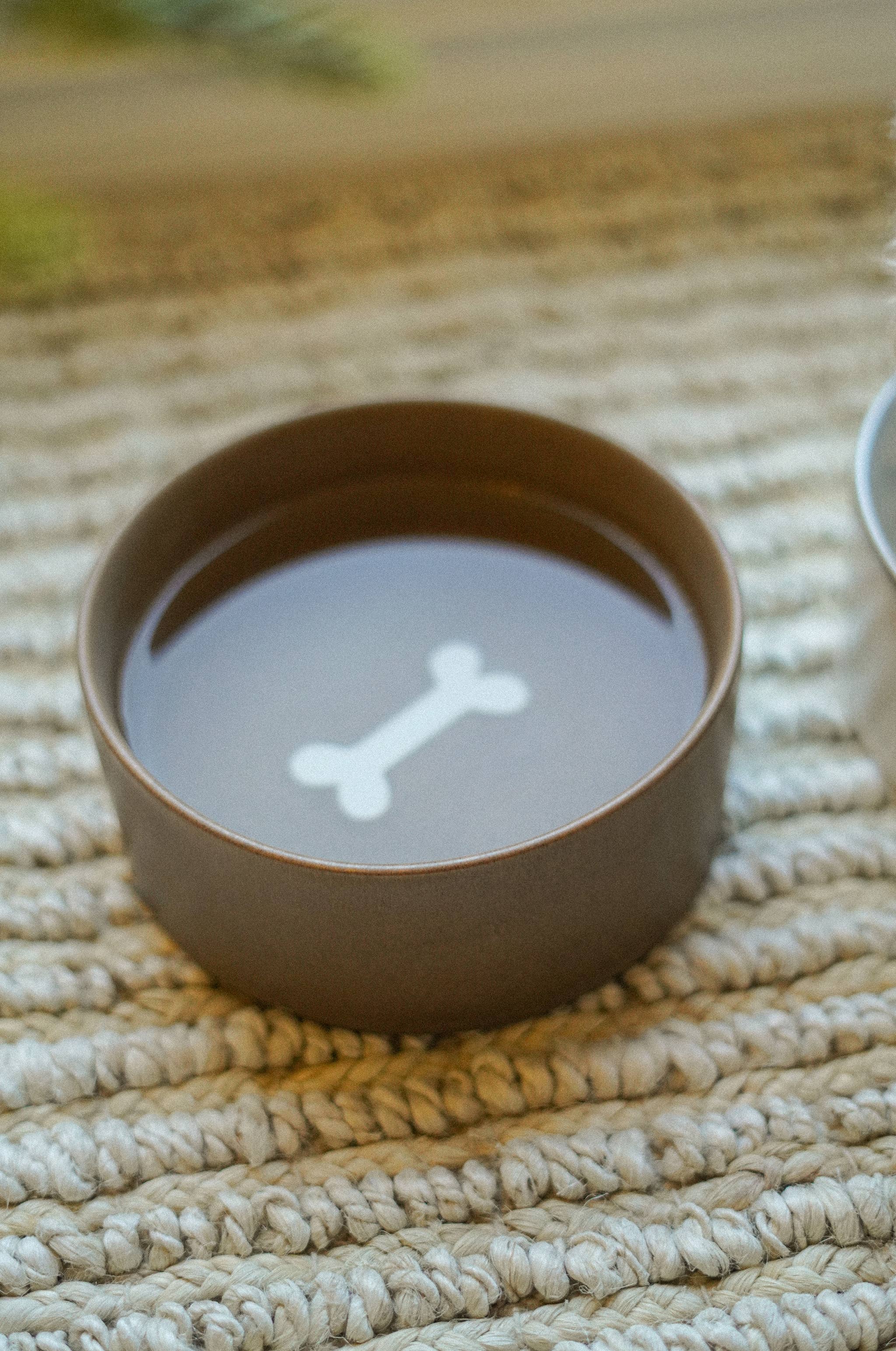 Small Pottery Pet Bowl | Earth | In Shoppe Pickup Only