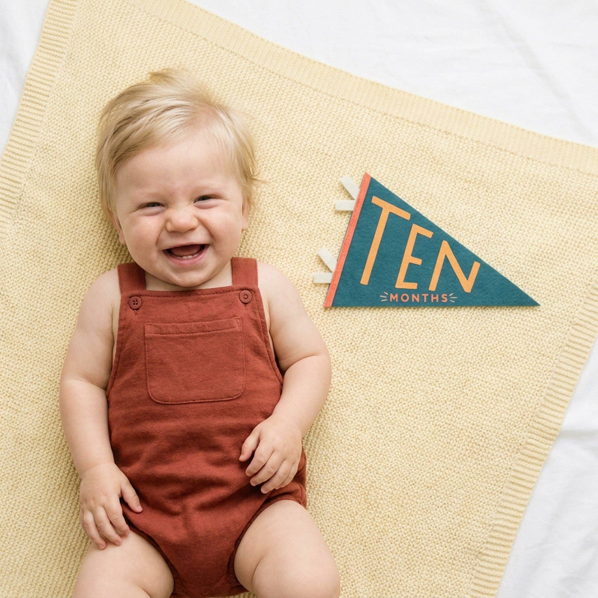 Little Kaleidoscope Baby Milestone Pennant