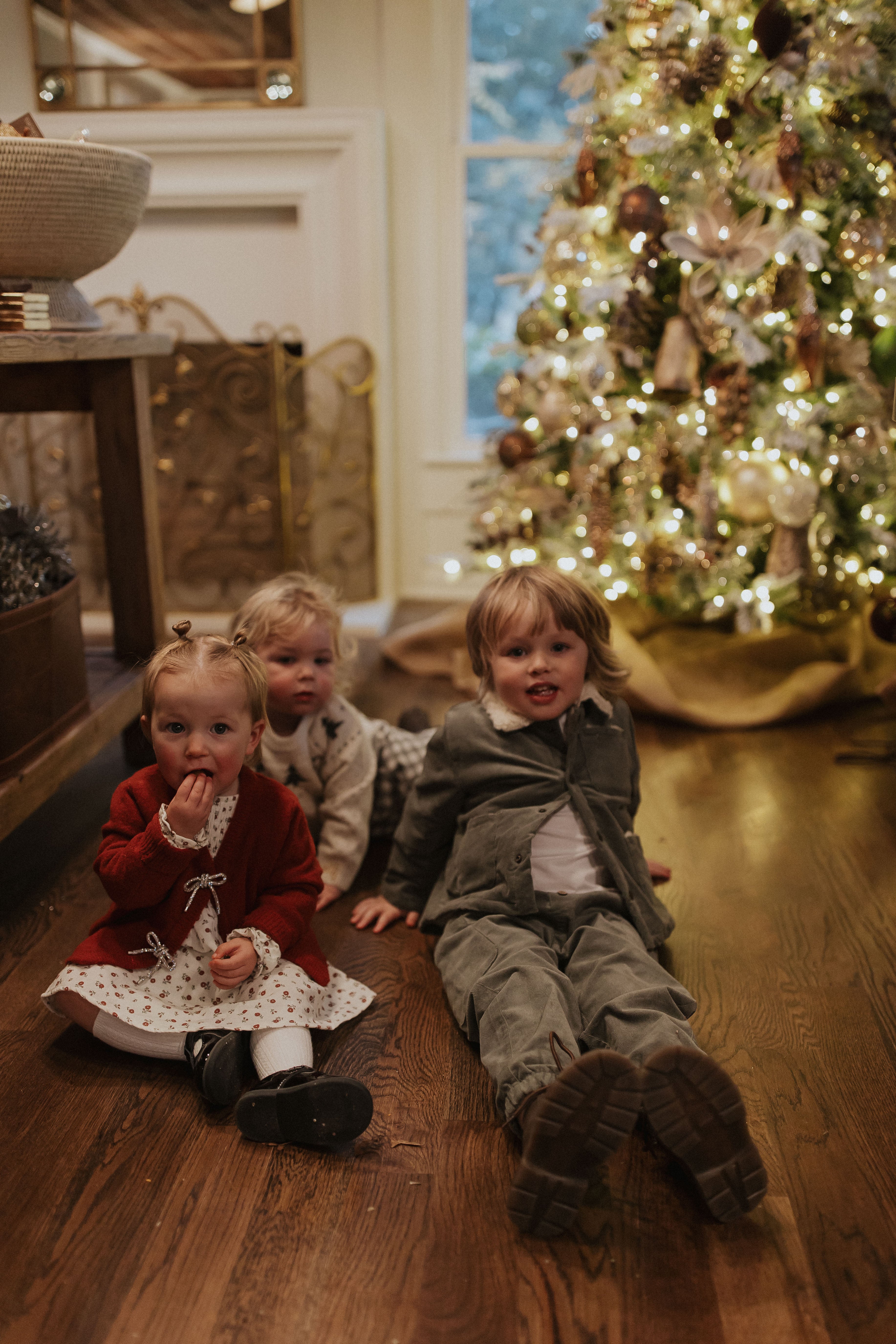 Velour Baby Dress l Holly Berry