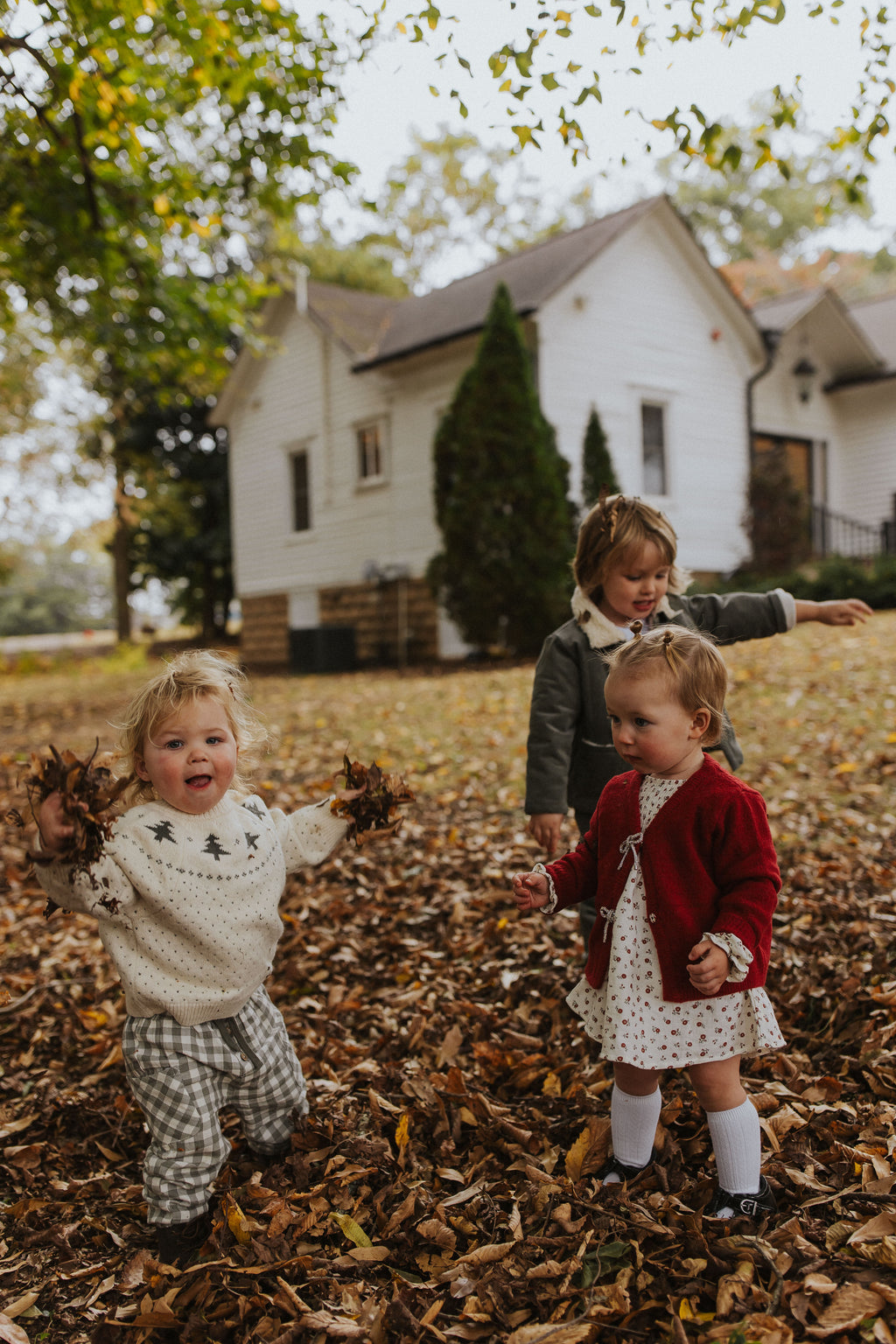 Velour Baby Dress l Holly Berry
