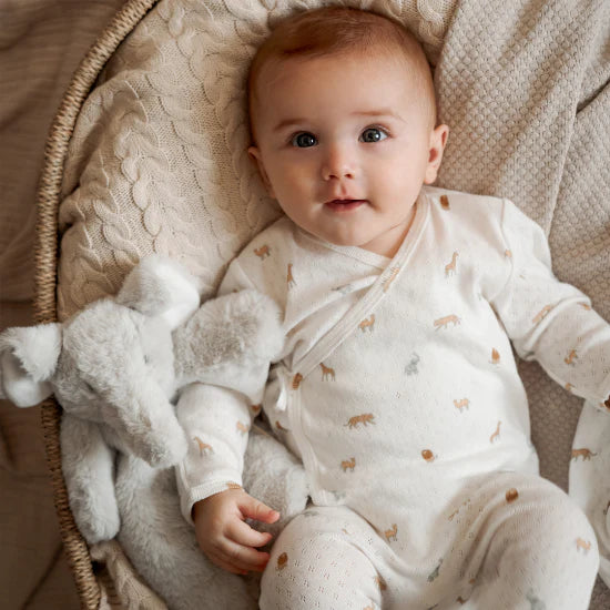 Safari Newborn Set