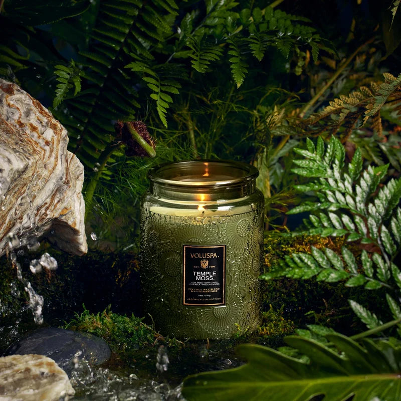 Temple Moss Large Jar Candle | In Shoppe Pickup Only