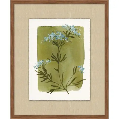 Heirloom Flora 7 | In Shoppe Pickup Only