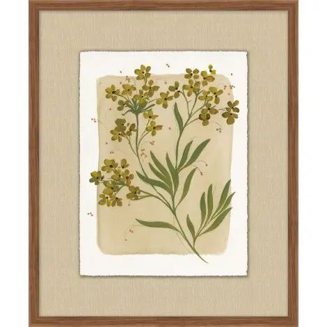Heirloom Flora 8 | In Shoppe Pickup Only