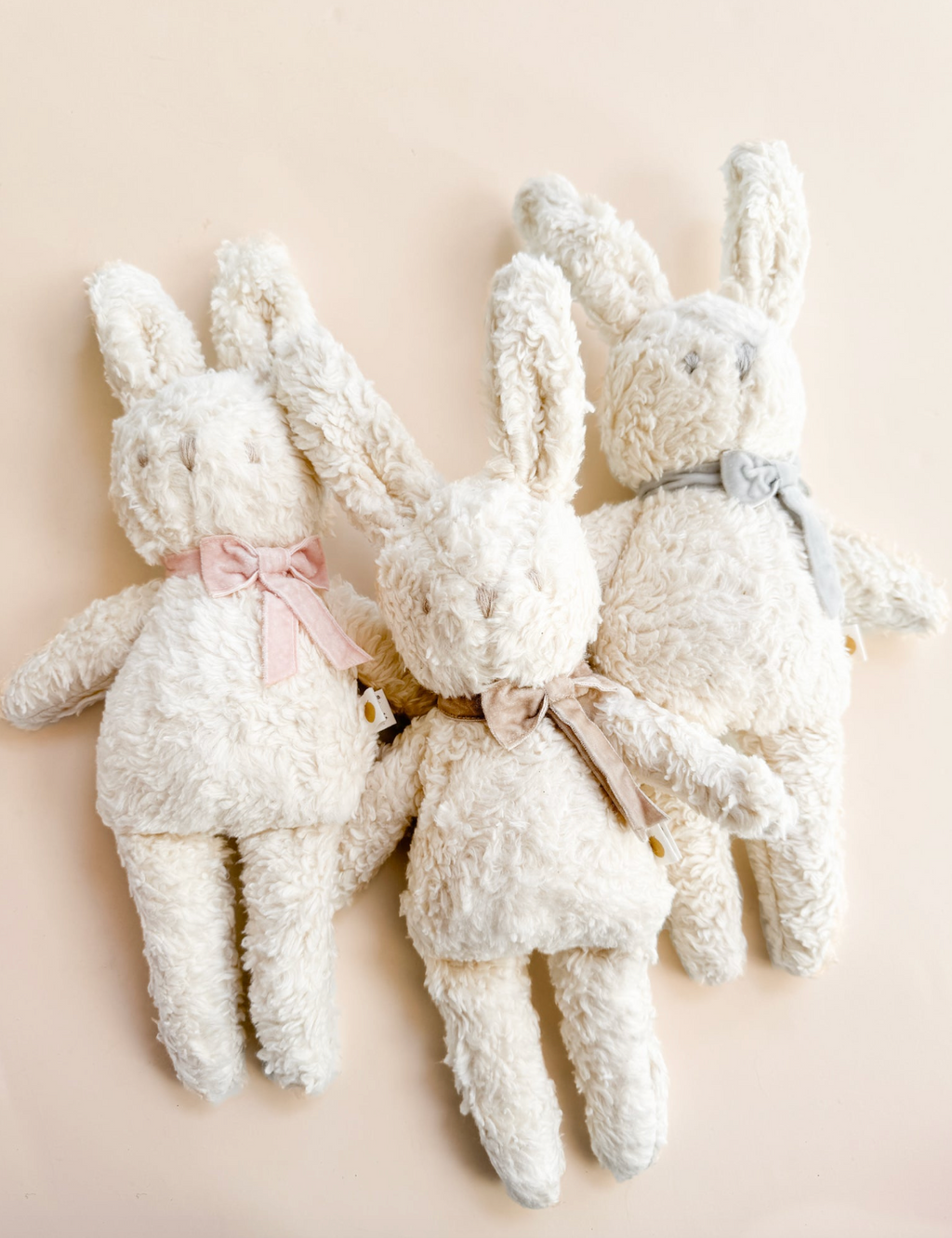 Charlie Bunny