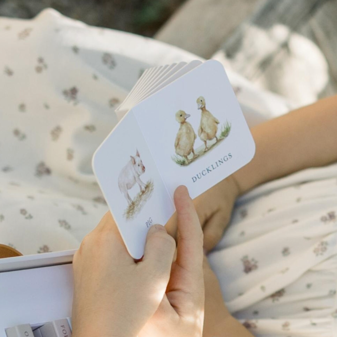 Our Very Little Library Book Set