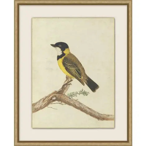 Birds of Autumn 1