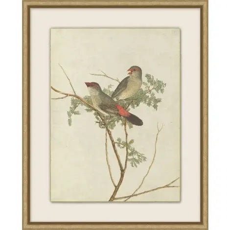 Birds of Autumn 2