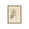 Equine Lines 2 | In Shoppe Pickup Only