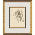Equine Lines 3 | In Shoppe Pickup Only