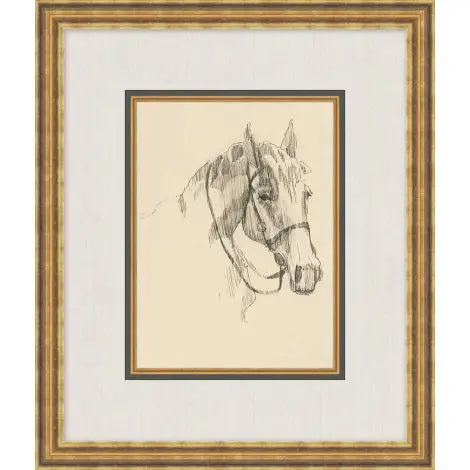 Equine Lines 3 | In Shoppe Pickup Only