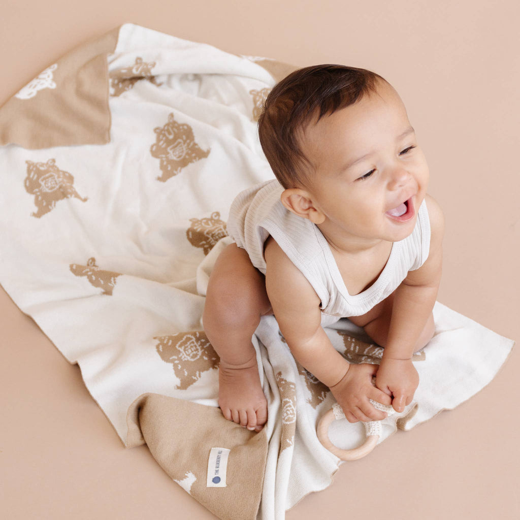 Honey Bear Hat, Blanket & Teether Rattle Gift Set