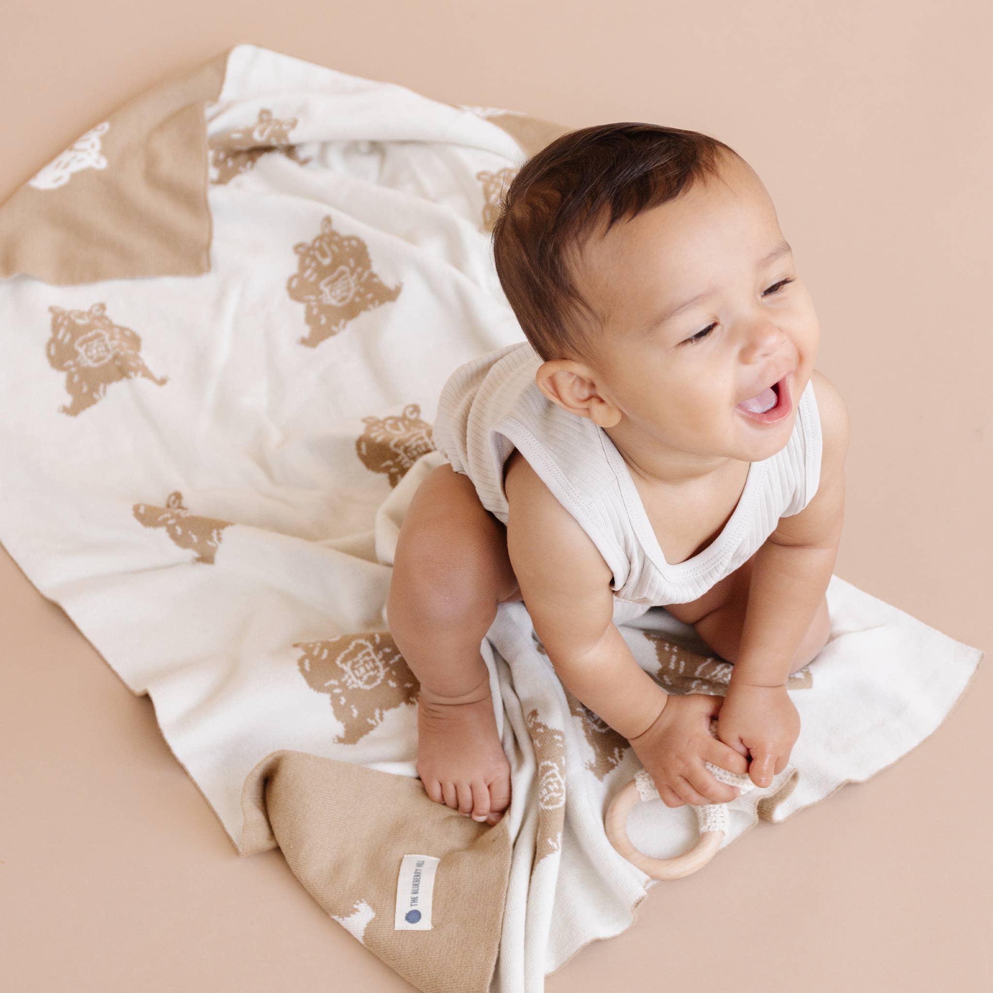 Honey Bear Hat, Blanket & Teether Rattle Gift Set