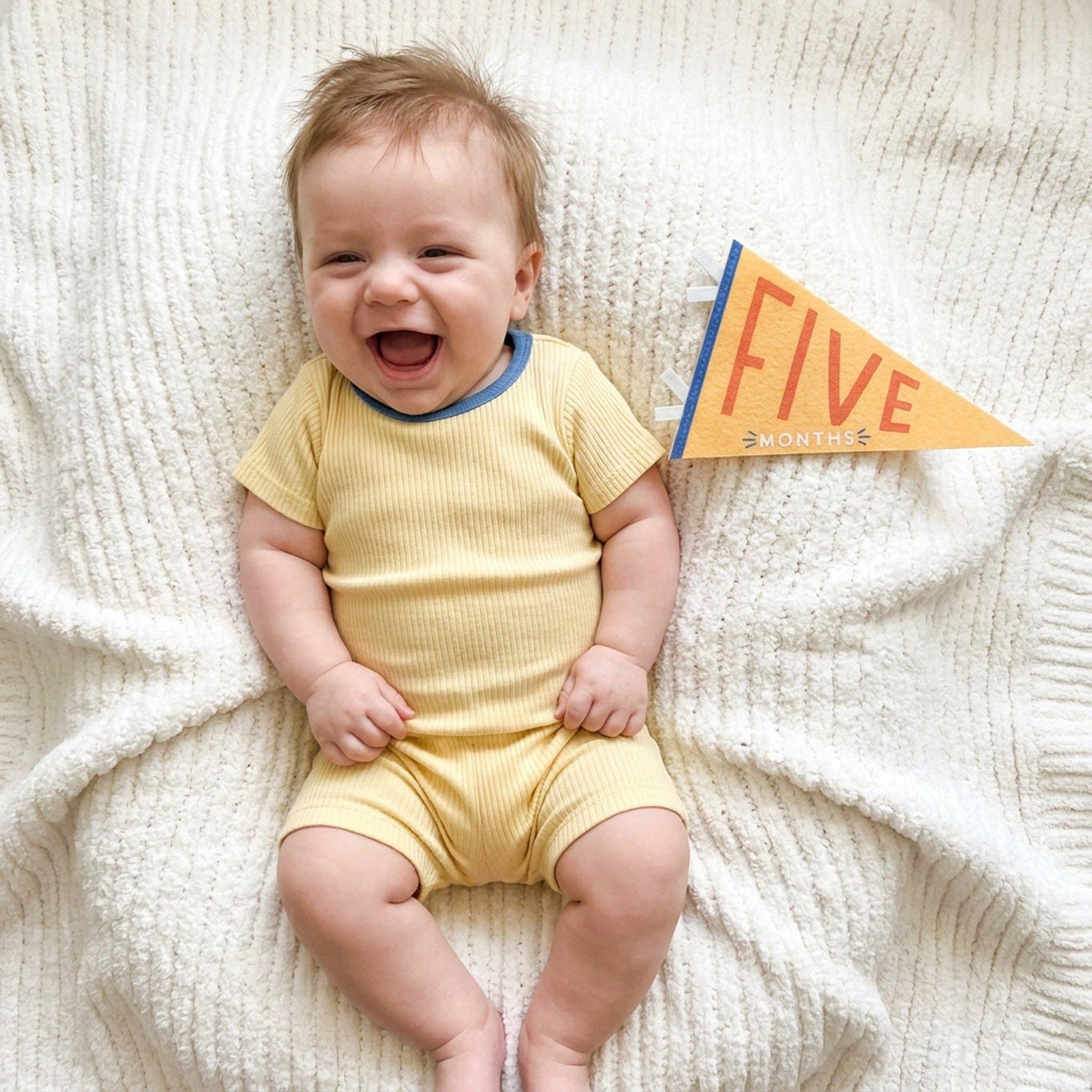 Little Kaleidoscope Baby Milestone Pennant