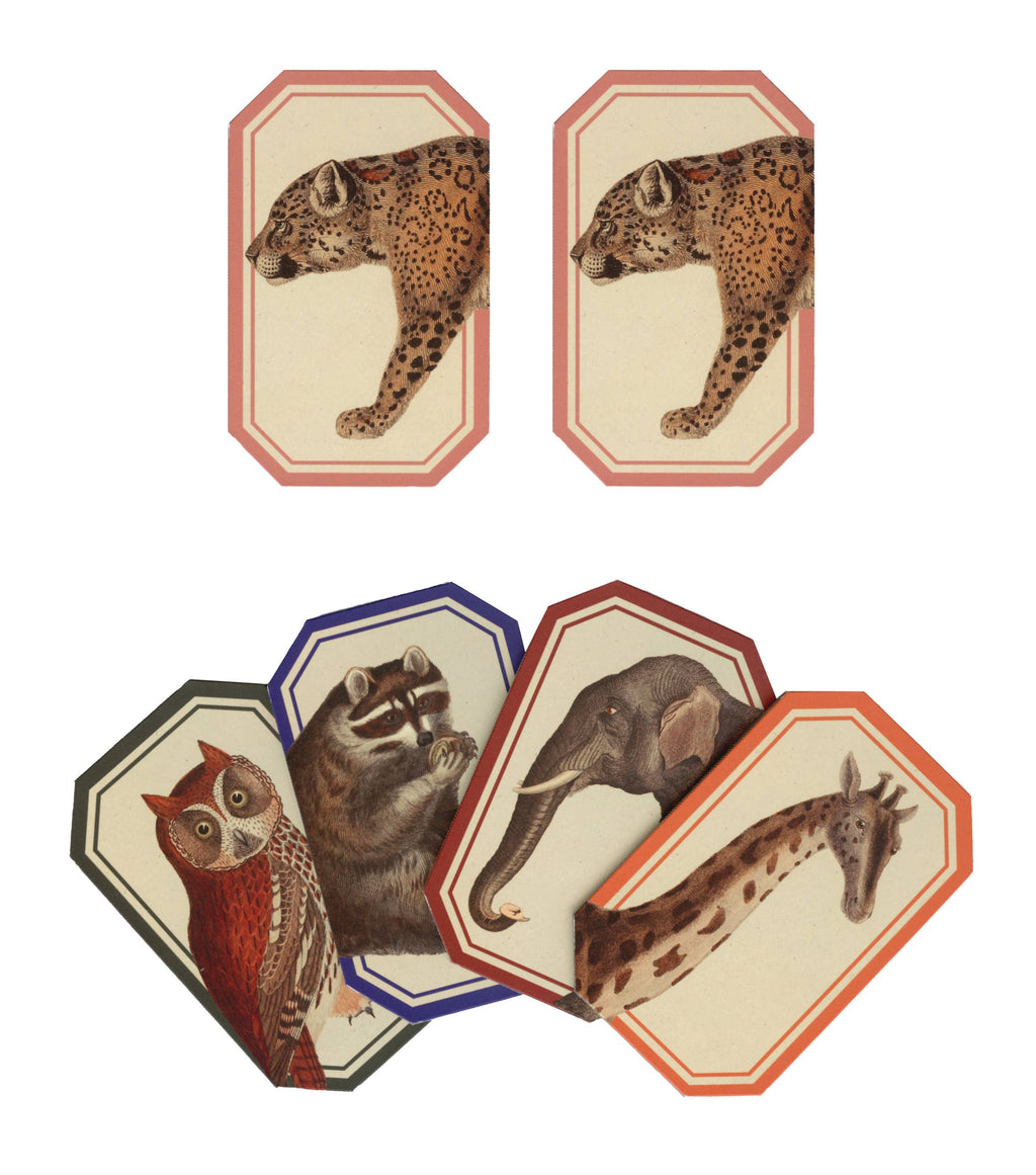Memory Game | Animal Kingdom