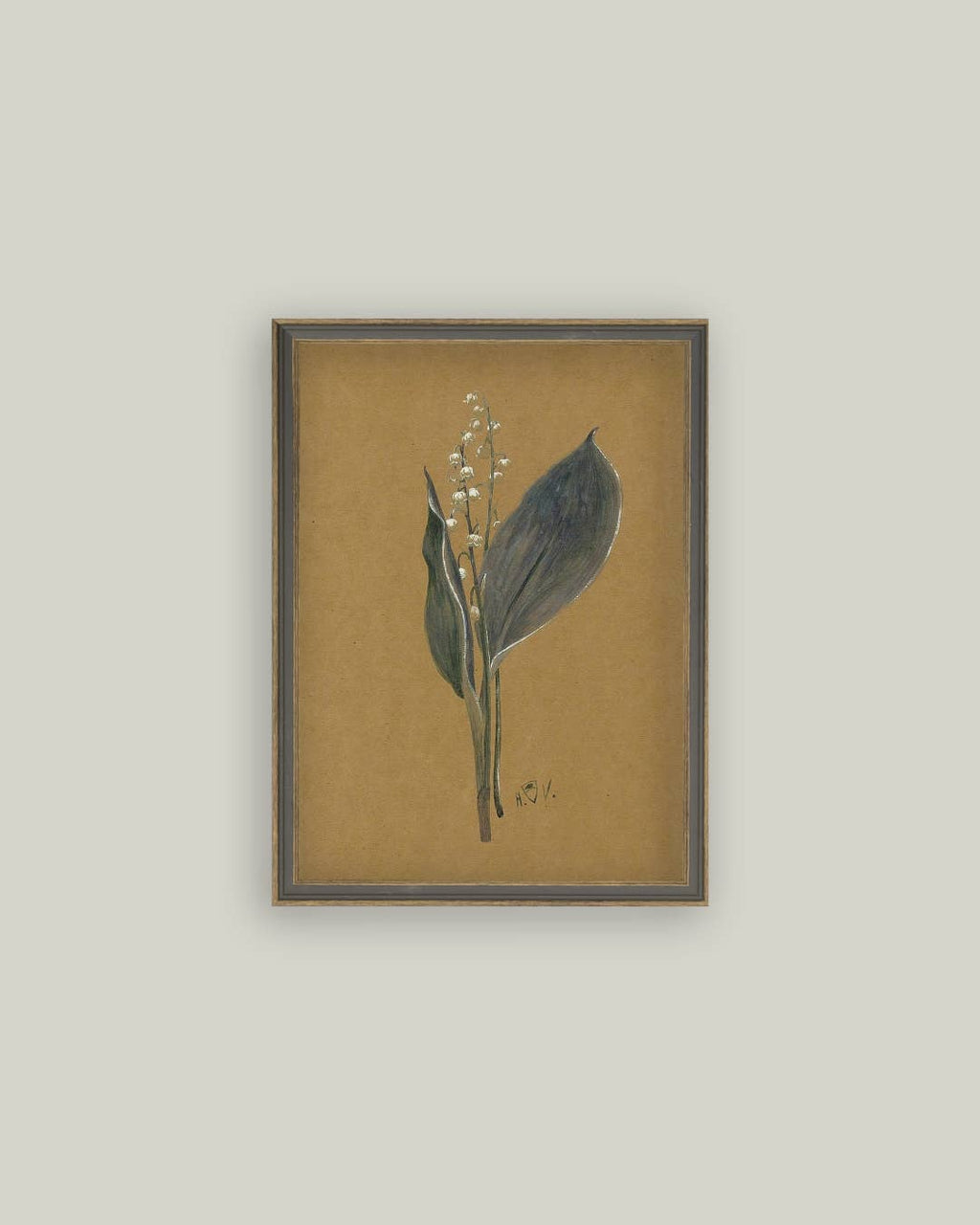 Lily On Brown